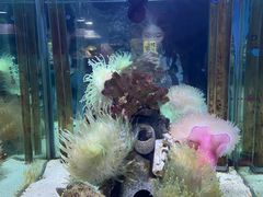 -太平洋海底世界