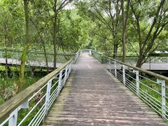 -西湖风景区-江洋畈生态公园
