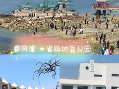 -养马岛旅游度假区