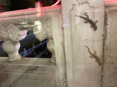 -烤肉季饭庄
