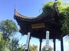 -鹅湖玫瑰文化园
