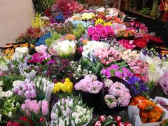 -双季花艺园艺市场(浦东店)