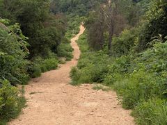 -青龙山国家森林公园
