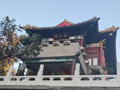 -龙沙公园