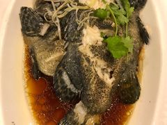 -双井轩(双井店)