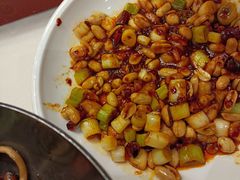 -大鸭梨烤鸭店(花园村店)