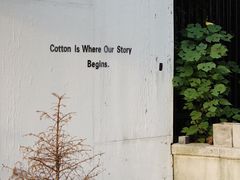 景观位-COTTON CAFE(德信·中外公寓店)