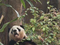 -灵玲国际马戏城