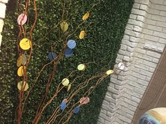 -菩提树·素食餐厅(汇智国际商业中心店)