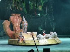 -广州长隆国际大马戏