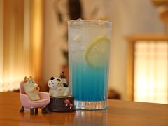 蓝柑苏打-猫小主咖啡·猫咖cat cafe(福田店)