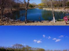 -大兴滨河森林公园