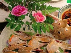 -禄婶鸡煲·打边炉
