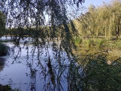 -东坝千亩湖公园