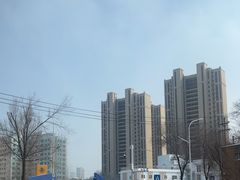 -金柱大盘鸡(波斯坦店)