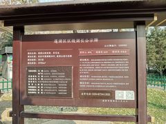 -莲湖公园