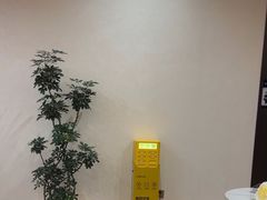 -小仙女采耳·按摩·SPA(深圳旗舰店)