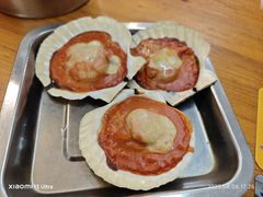 芝士焗扇贝-炒豆合作社(东四总店)