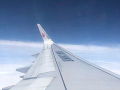 -上海浦东国际机场-T2航站楼