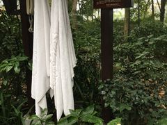 -青城道汤池
