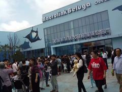 -芜湖新华联大白鲸海洋公园