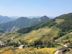 -紫鹊界梯田景区