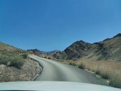 -新疆天山野生动物园