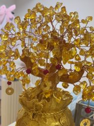 -美肤盾祛痘·问题肌头疗管理中心