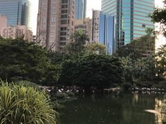 -九龙公园