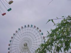 -洋湖国家湿地公园
