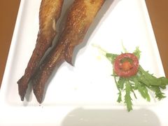-塔可墨西哥餐厅(新城市广场店)