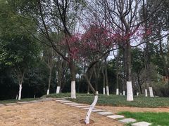 -孝子祠公园