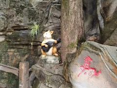 -巴倒烫陆派火锅山庄(南山总店)