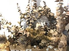 -素咫咖啡CLIFEROSE