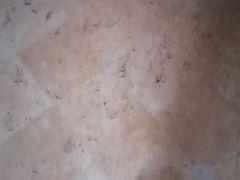 -三亚湾红树林度假世界(木棉酒店)