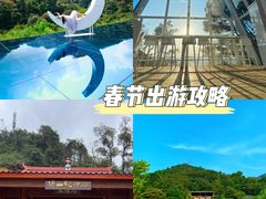 -南丹山森林王国