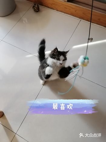 小希的第一个双十一（上）
