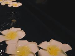 -Dragonfly悠庭·按摩Spa(静安嘉里中心店)