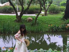 -人民公园(罗湖区)