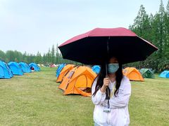 -黄海国家森林公园