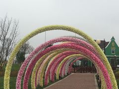-荷兰花海