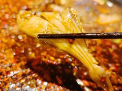 -费明中罗非鱼(大石坝店)