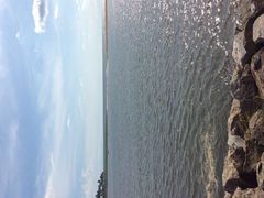 -尼甘布海鲜市场