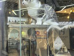 -弓舍射箭俱乐部(高新总店)