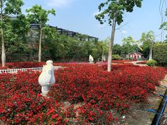 -广东花都香草世界旅游度假区