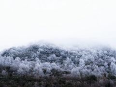 -硗碛藏寨·神木垒景区