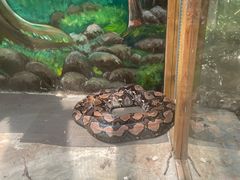 -上海大自然野生昆虫馆
