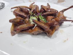 -三寓宾馆宴会厅