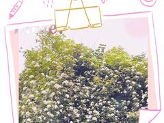 -三圣里·中餐宴请·自助烤肉·烤全羊·柴火鸡(旗舰店)