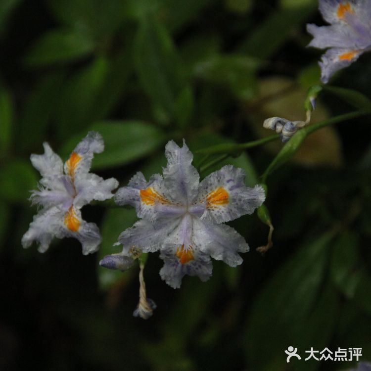本杭州人竟然从来没有去过虎跑公园！